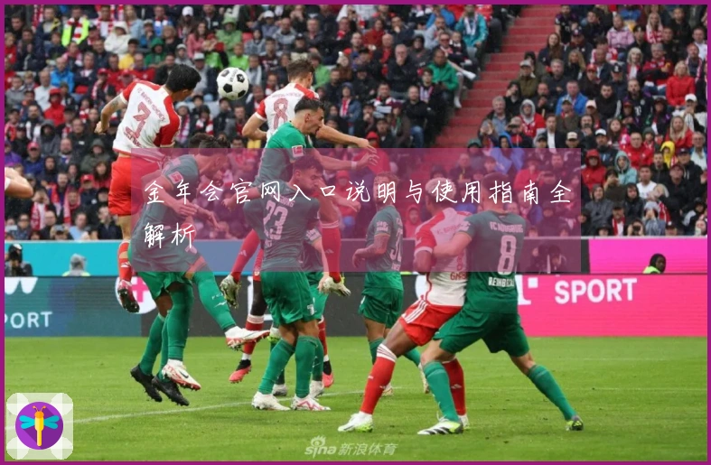 金年会官网入口说明与使用指南全解析