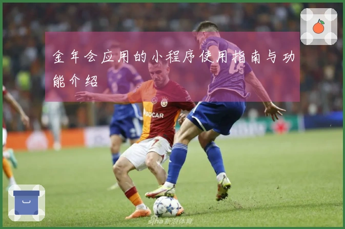 金年会应用的小程序使用指南与功能介绍