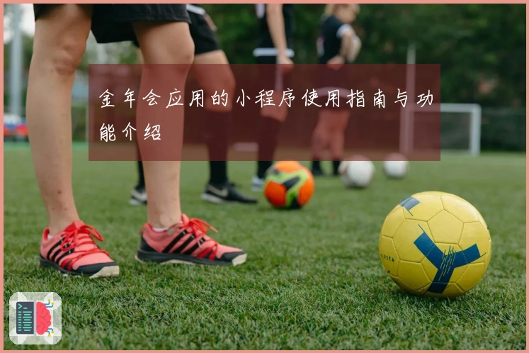 金年会应用的小程序使用指南与功能介绍